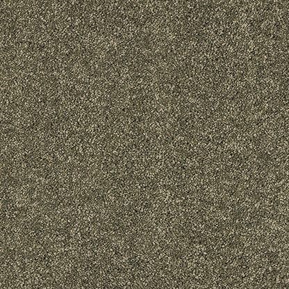 Dusty Fern
