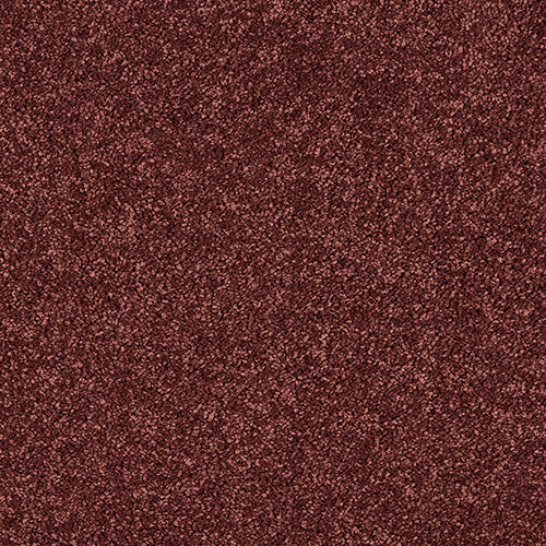 Bookroom Red