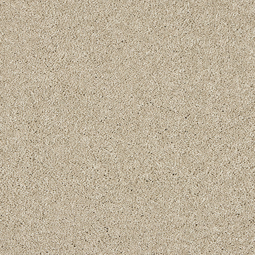 Dust