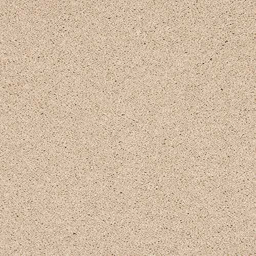 Soft & luxurious carpet in Stonewash Linen