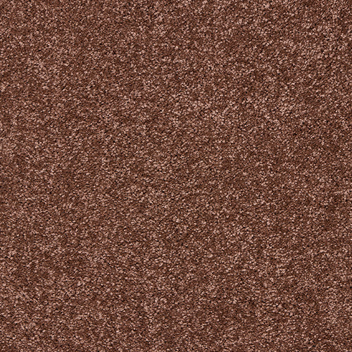 Soft & luxurious carpet in Autumn Ember