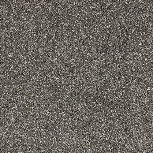Soft & luxurious carpet in Manor House Grey