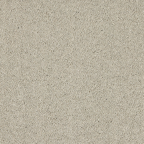 Soft & luxurious carpet in Mist