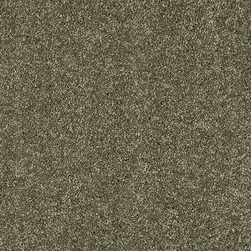 Dusty Fern