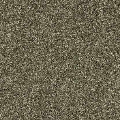 Dusty Fern