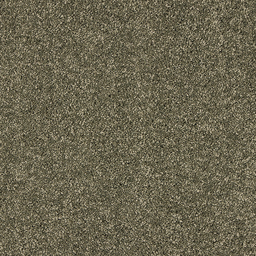 Dusty Fern