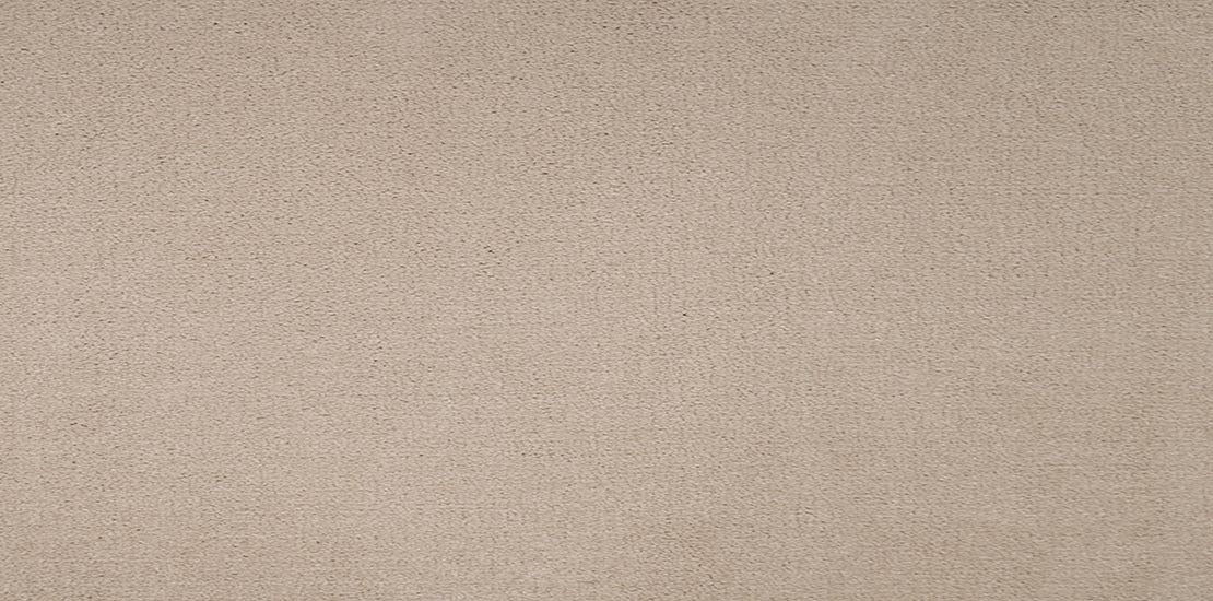 Plains Papyrus