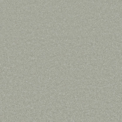 Lichen