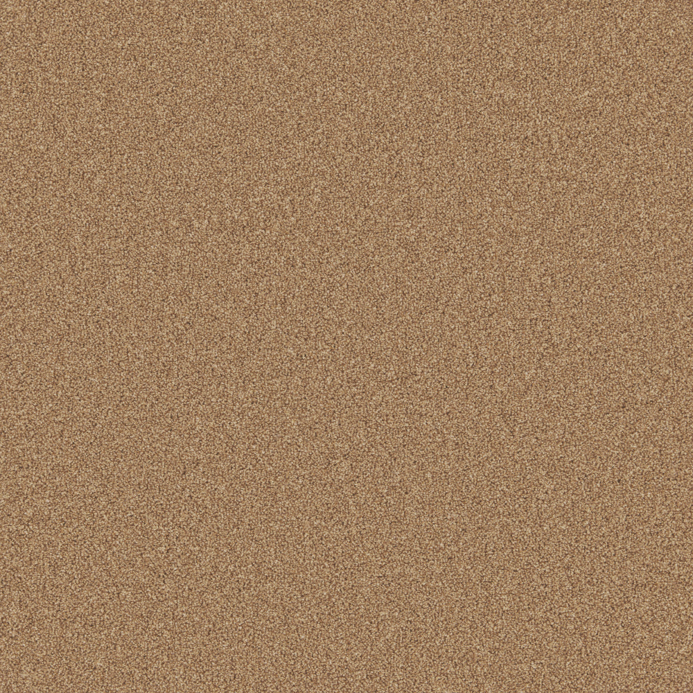 Elm