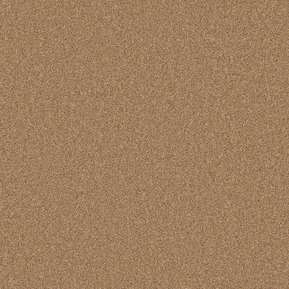 Elm