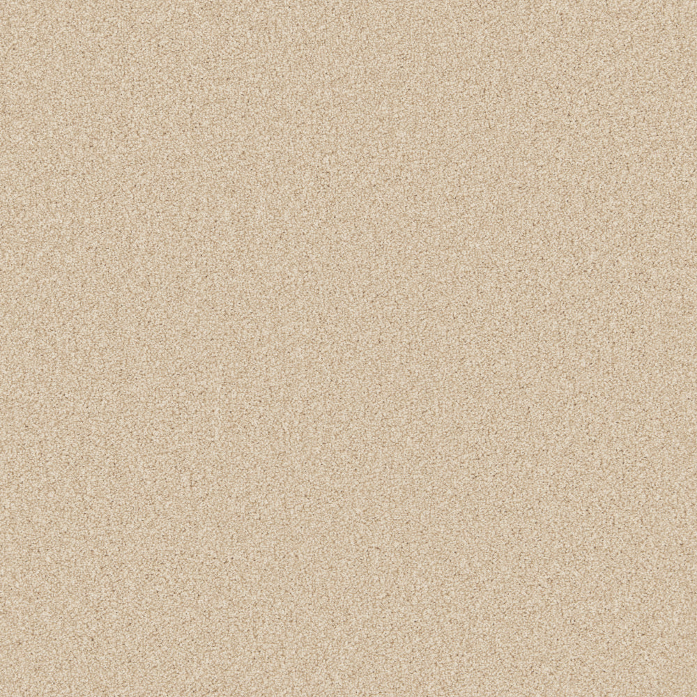 Risotto
