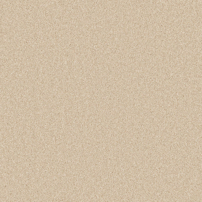 Risotto