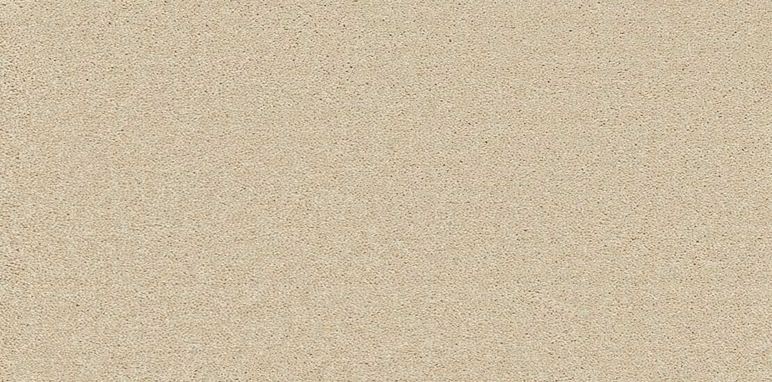 Cryptic Wood