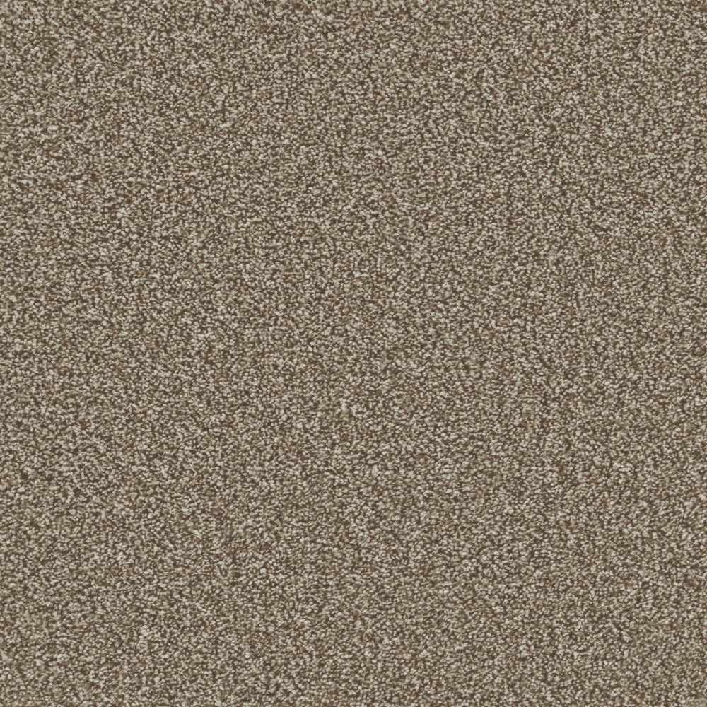 Forest Taupe