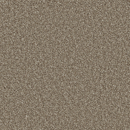 Forest Taupe