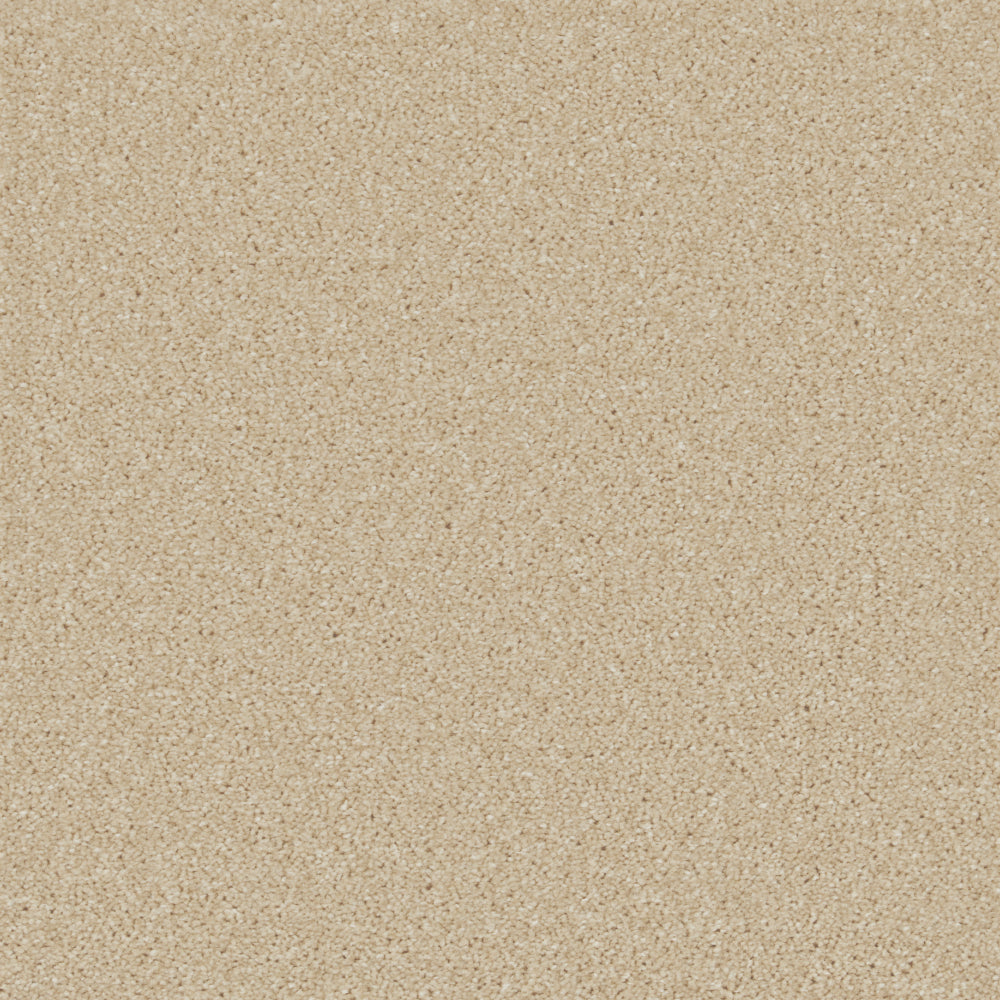 Linseed
