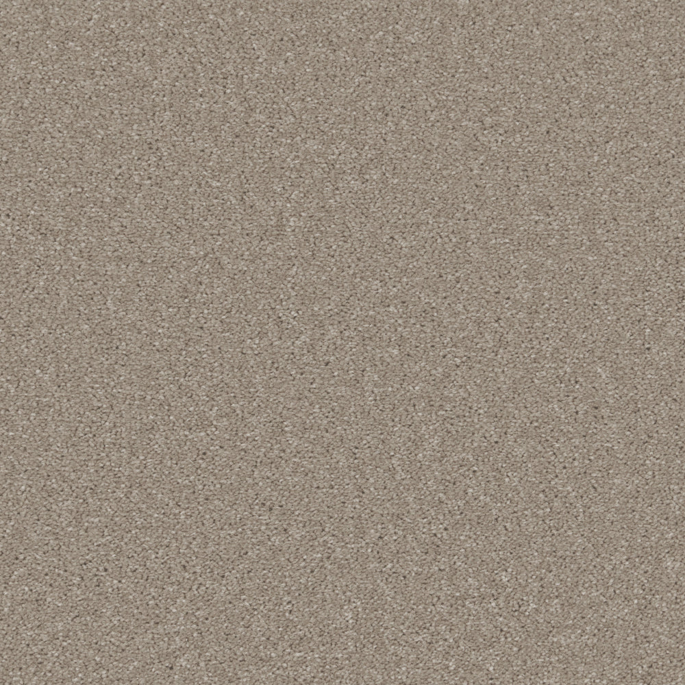 Oyster Shell