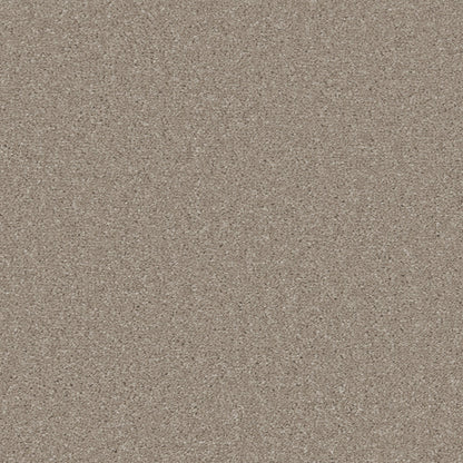 Oyster Shell