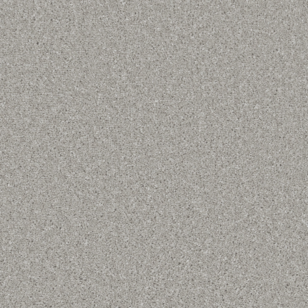 Pale Dove