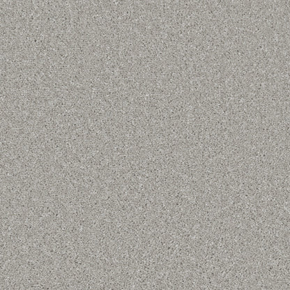 Pale Dove