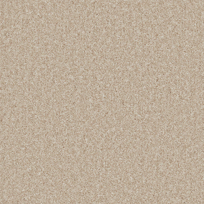 Sand Drift