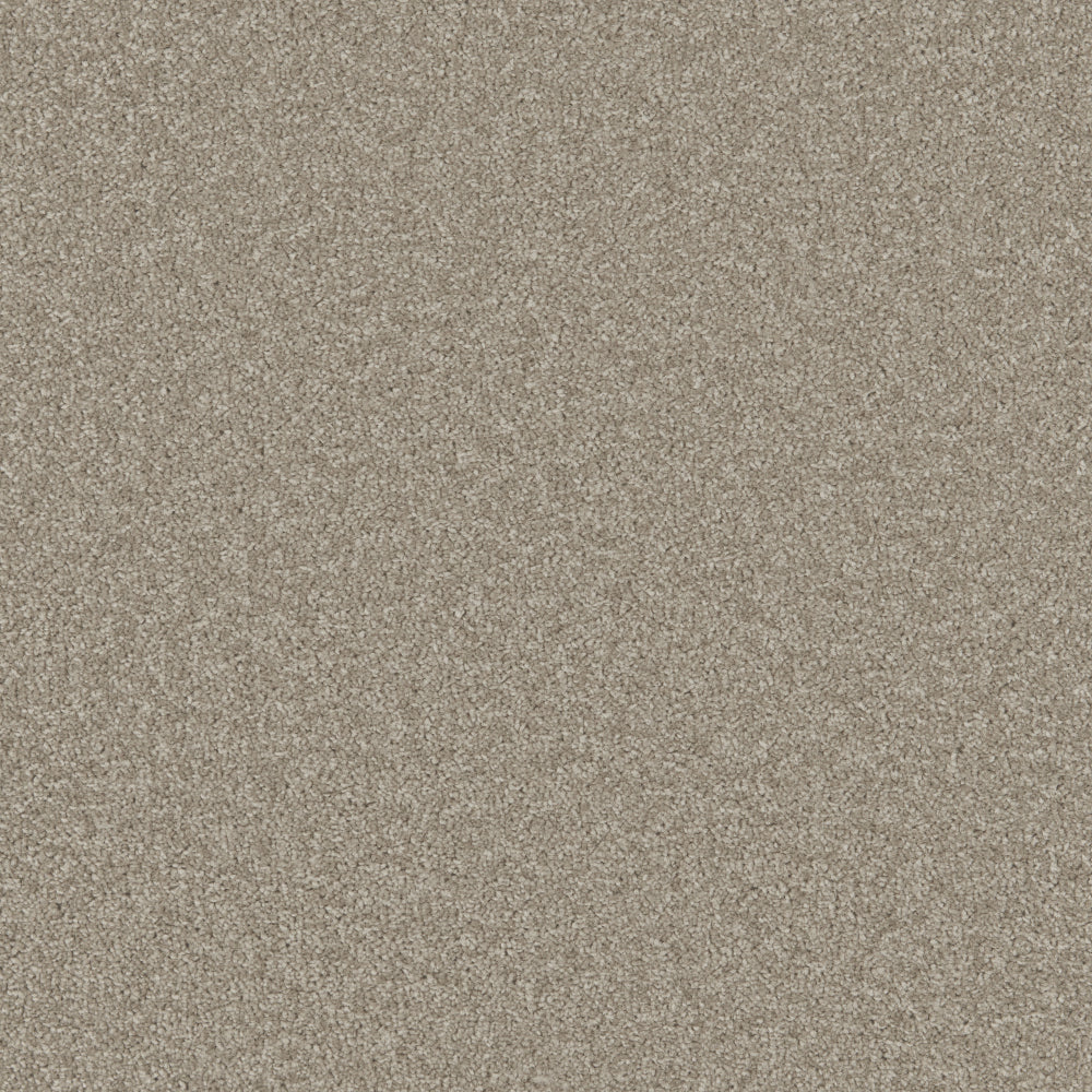 Classic Taupe