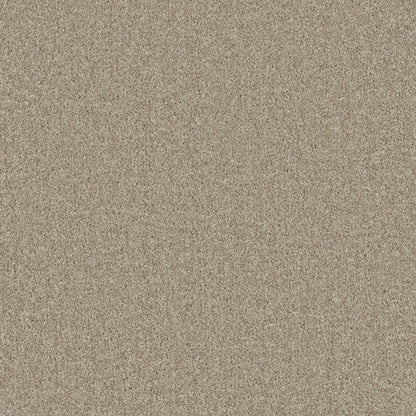 Harvest Wheat