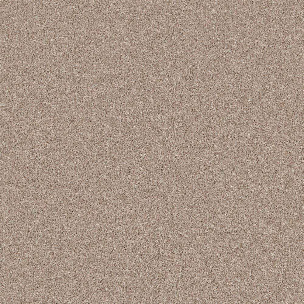 Honey Pine