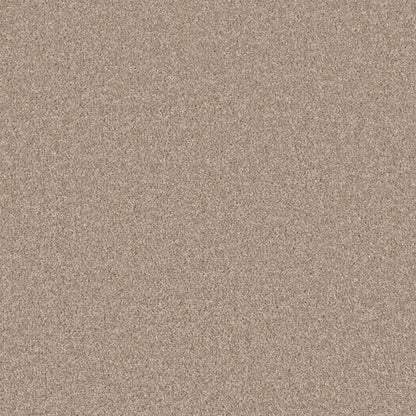 Honey Pine
