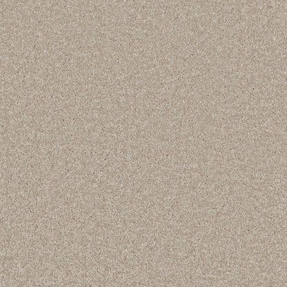 Warm Alabaster