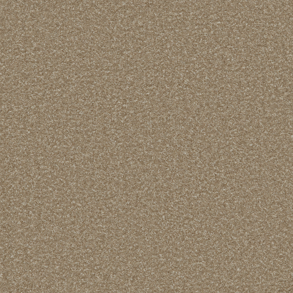 Light Taupe