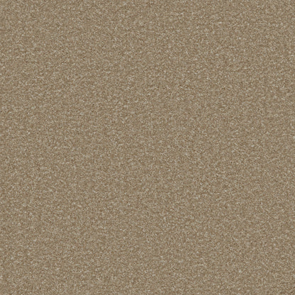 Light Taupe