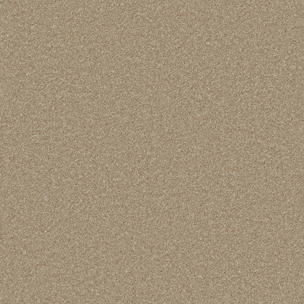 Sand Dune