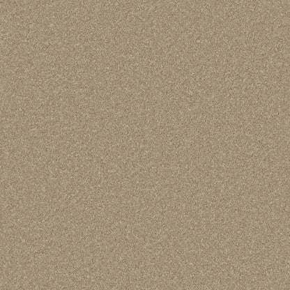 Sand Dune