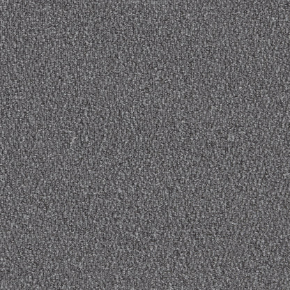 Coyote