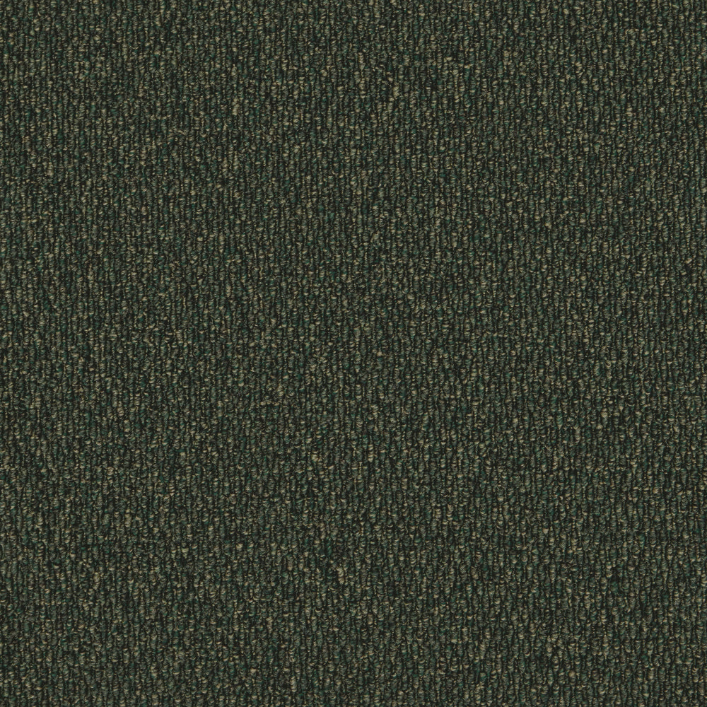 Palm