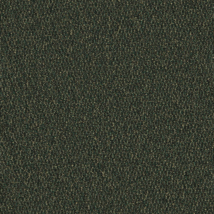 Palm