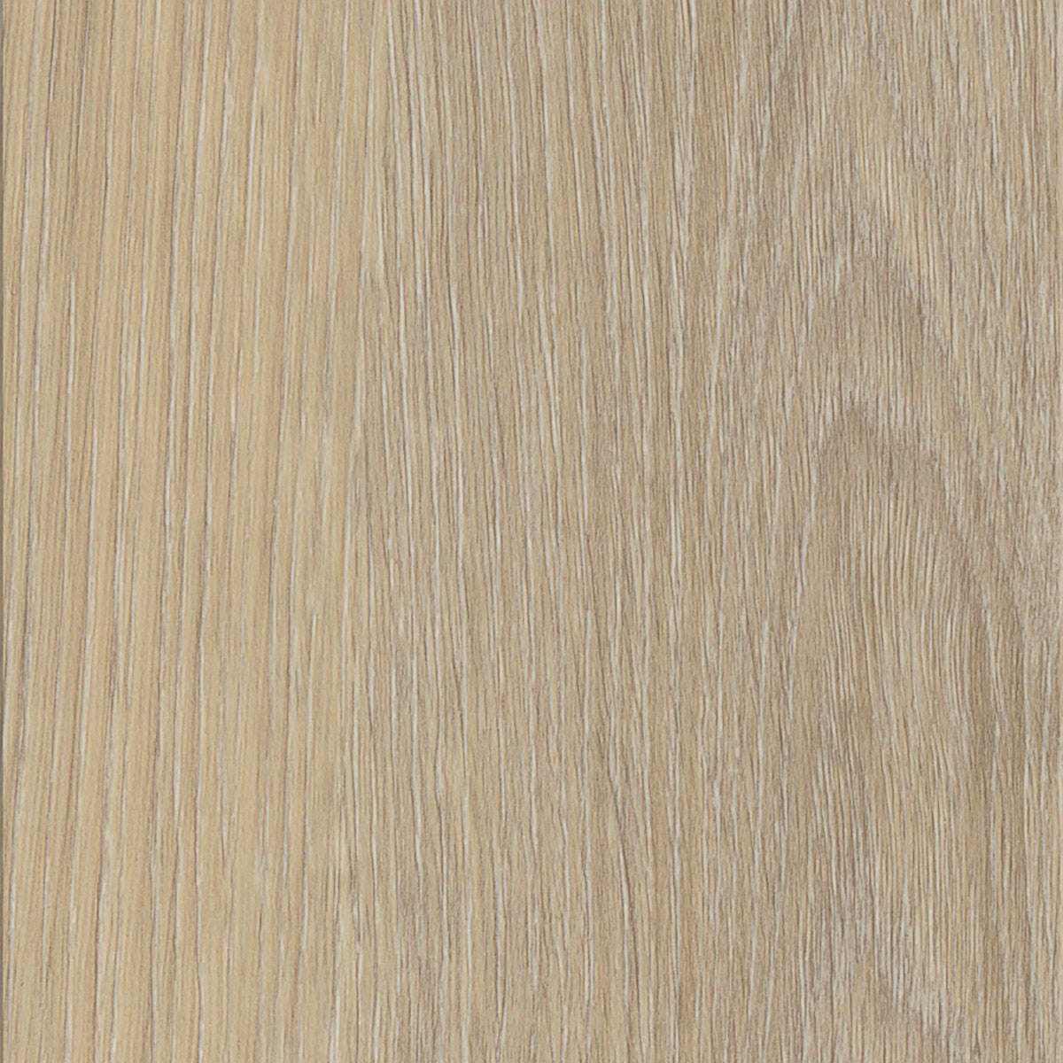 Invictus Maximus French Oak Desert