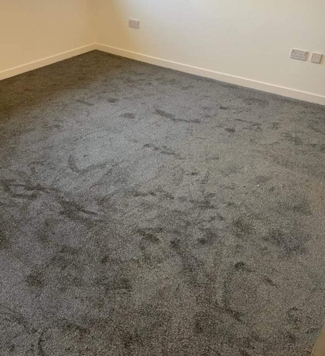 Carpet a 2 bed House for £399!