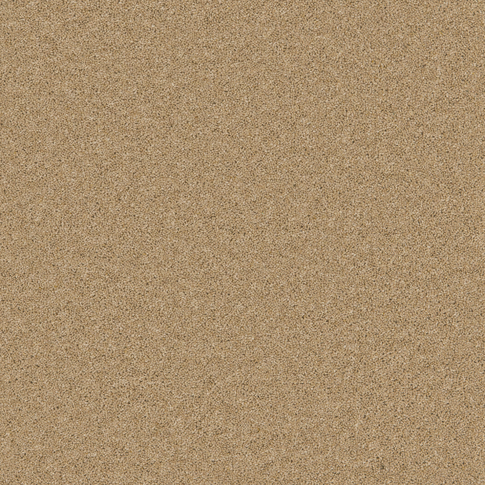 Mild Malt
