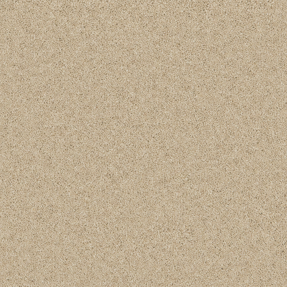 Pure Pebble