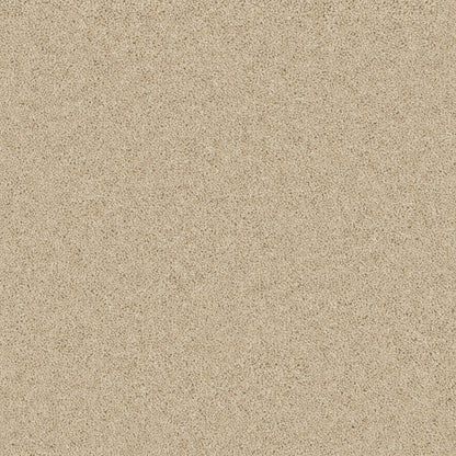 Pure Pebble
