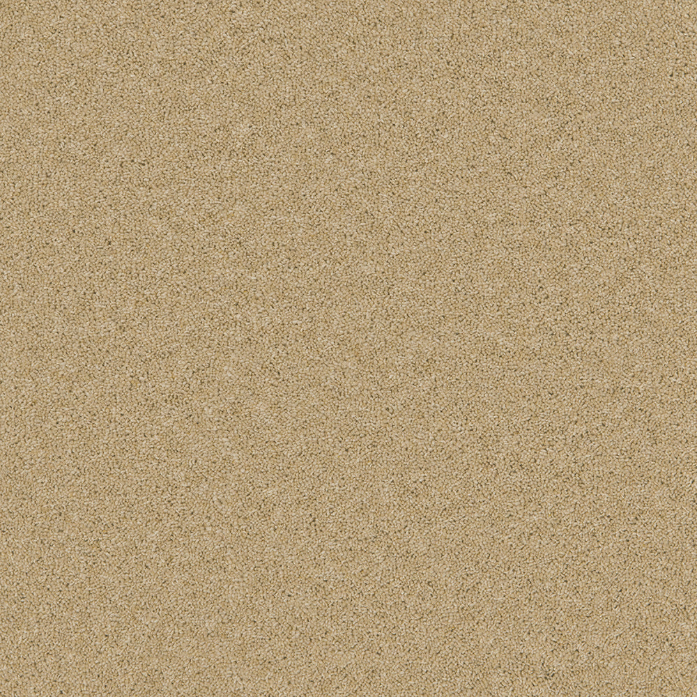 Sand Salt