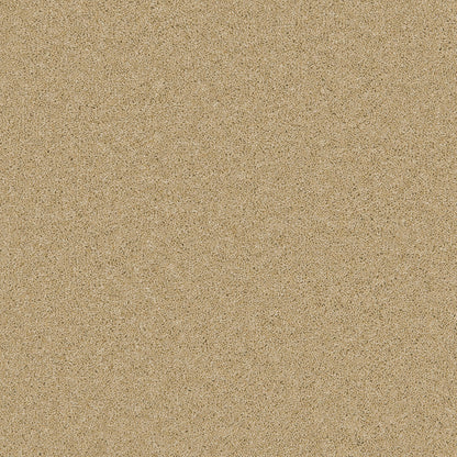 Sand Salt