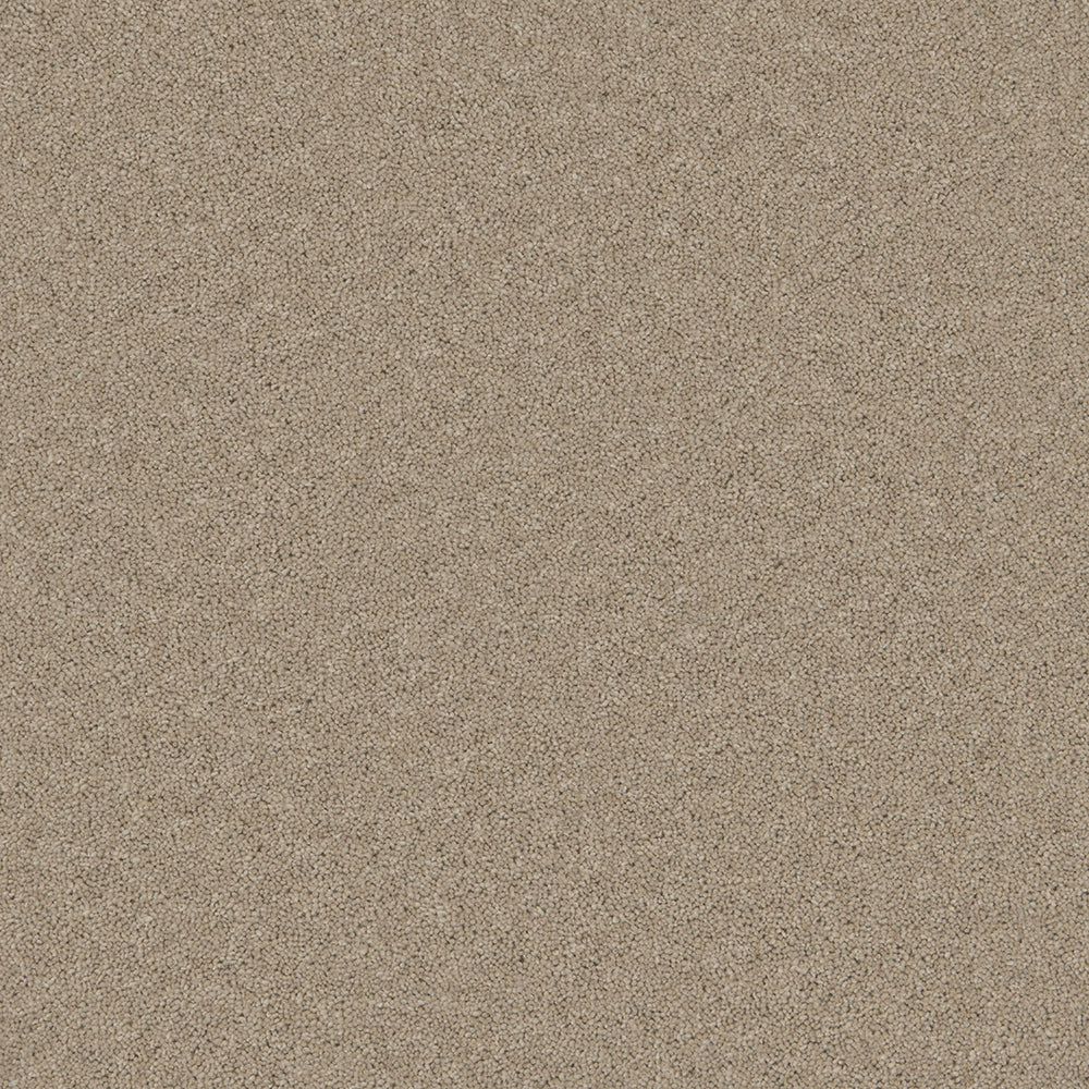 Tranquil Truffle