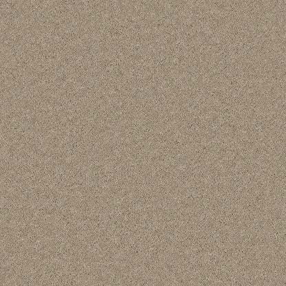Tranquil Truffle