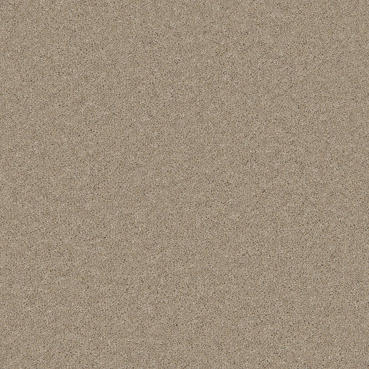 Tranquil Truffle