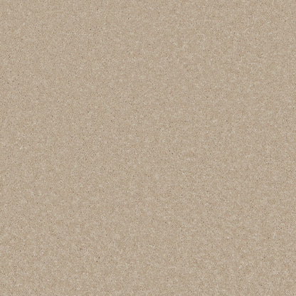 Coral Cove