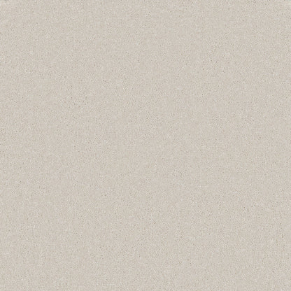 Silver Frost