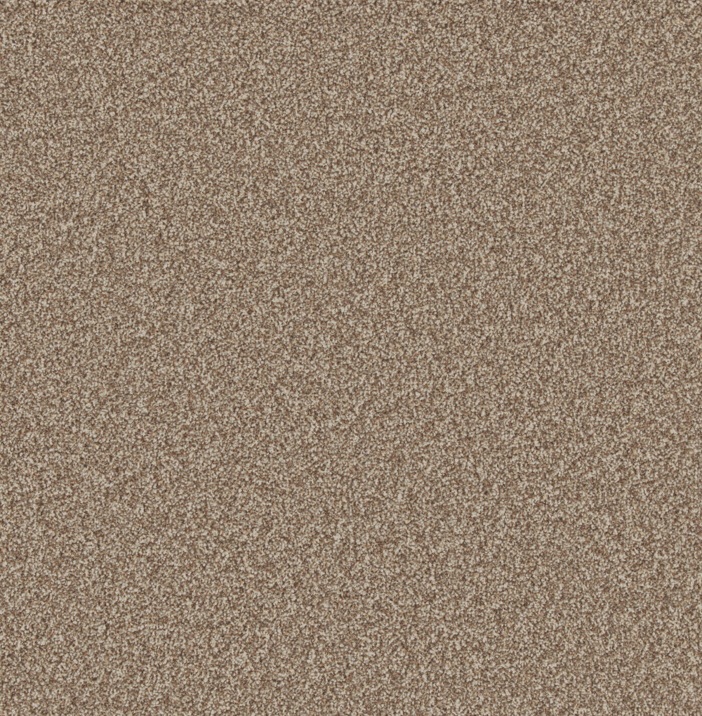 Forest Bark